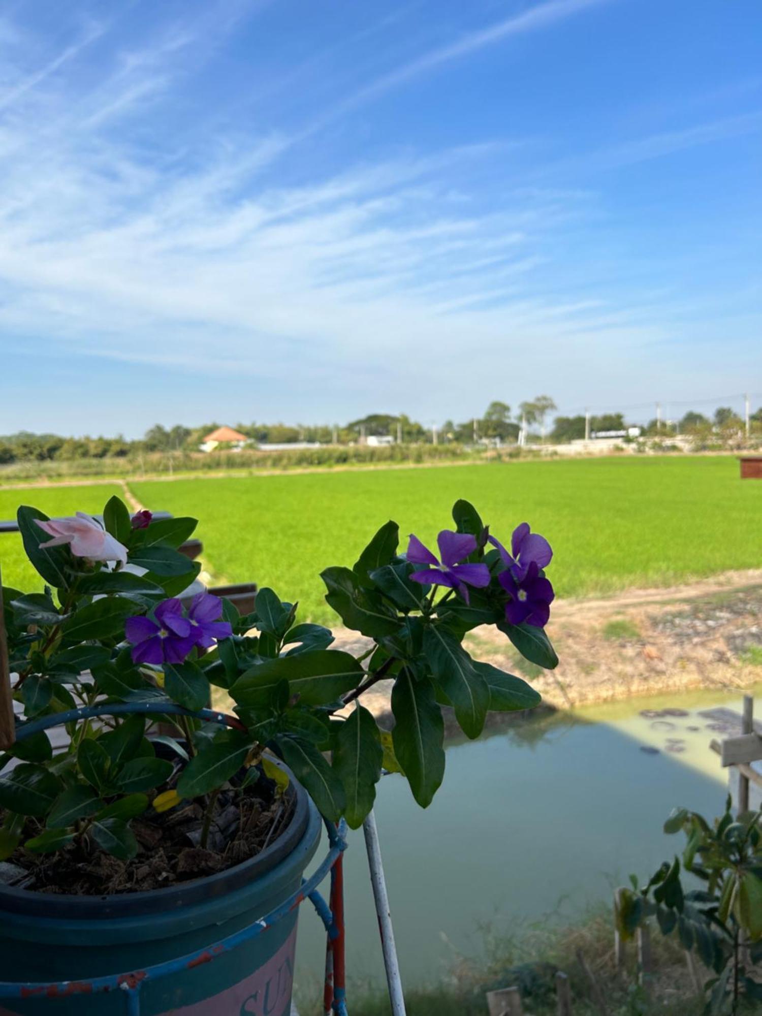 บ้านกลางเกาะ รีสอร์ท Uthai Thani Εξωτερικό φωτογραφία